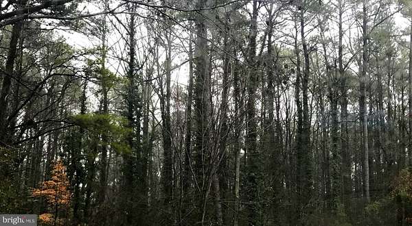 0.23 Acres of Land for Sale in Lusby, Maryland