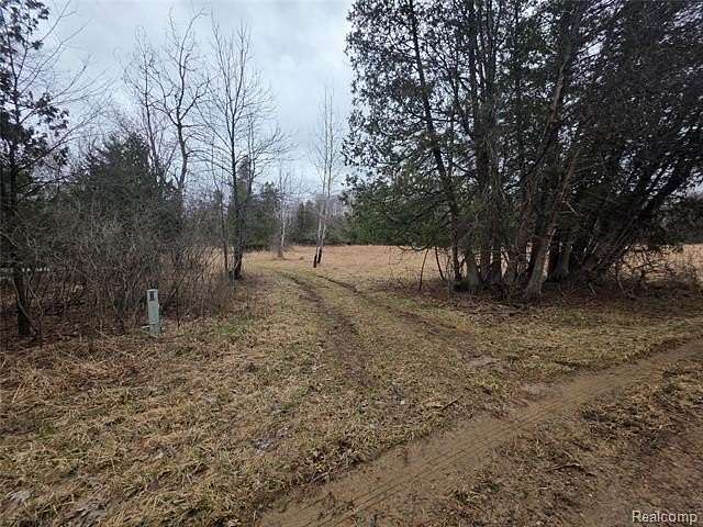 Residential Land for Sale in North Branch Township, Michigan