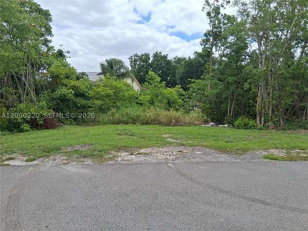 0.24 Acres of Residential Land for Sale in Lehigh Acres, Florida