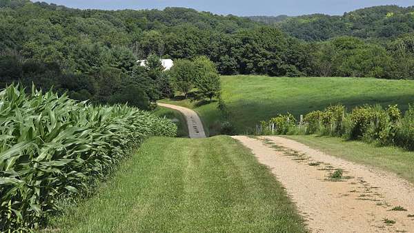 44 Acres of Land with Home for Sale in Richland Center, Wisconsin