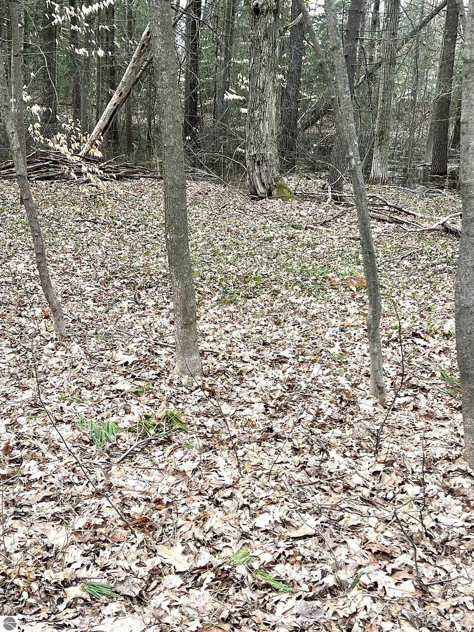 0.41 Acres of Land for Sale in Cadillac, Michigan