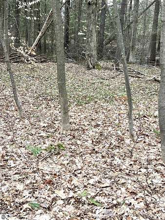 0.41 Acres of Land for Sale in Cadillac, Michigan
