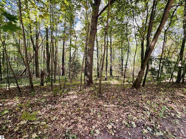 0.41 Acres of Land for Sale in Cadillac, Michigan