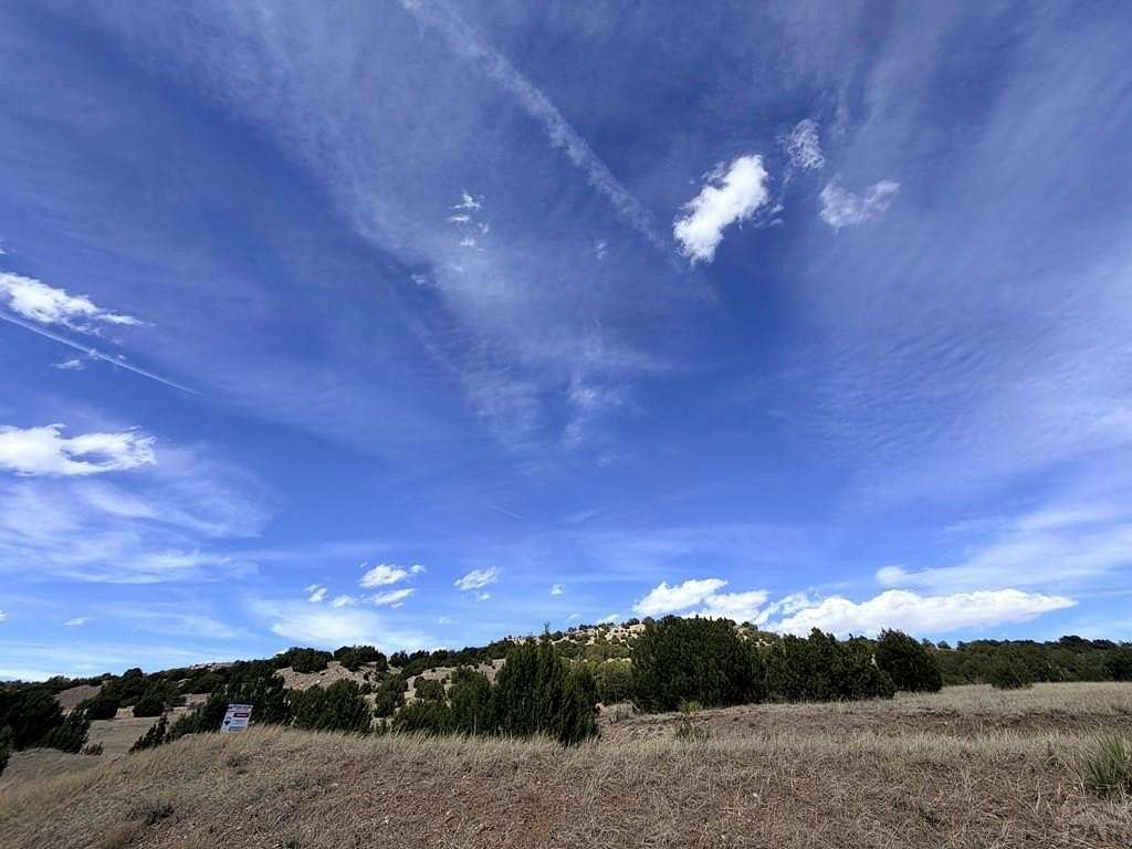 5 Acres of Land for Sale in Beulah, Colorado