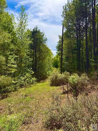 31.5 Acres of Land for Sale in McLeod, Texas