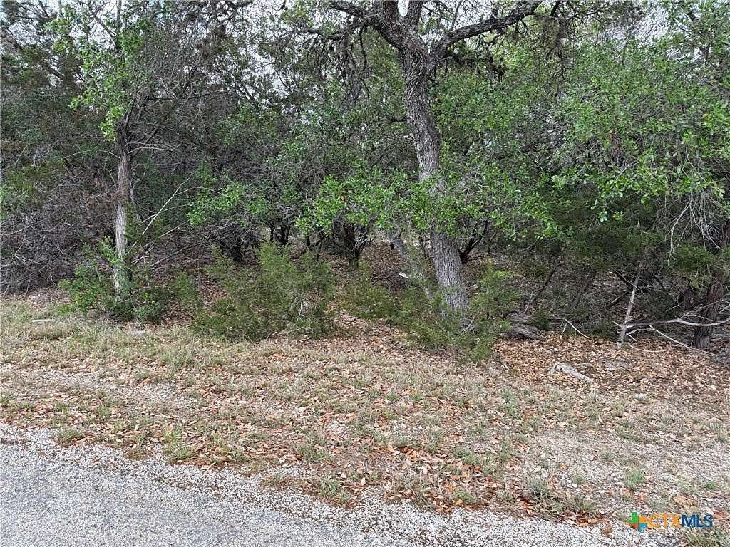 0.34 Acres of Residential Land for Sale in Canyon Lake, Texas