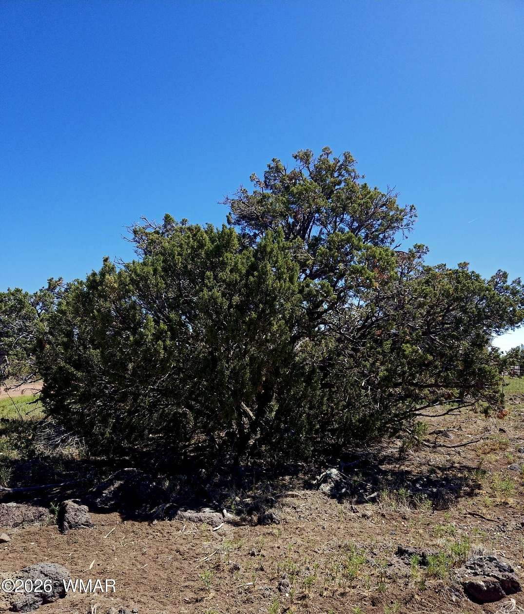 1.2 Acres of Residential Land for Sale in Show Low, Arizona