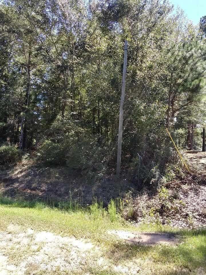 Residential Land for Sale in Harrison, Georgia