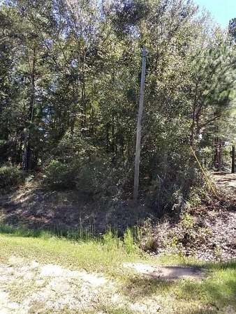 Residential Land for Sale in Harrison, Georgia