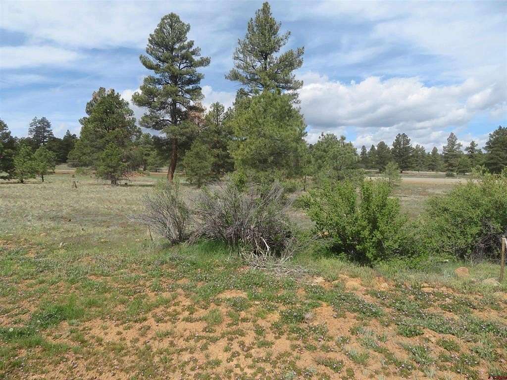 0.63 Acres of Residential Land for Sale in Pagosa Springs, Colorado