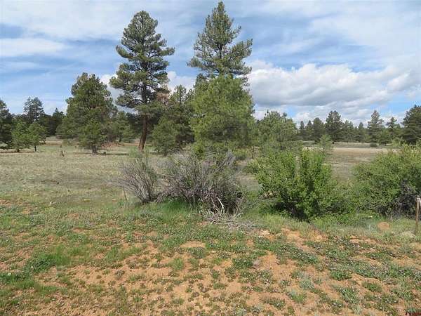 0.63 Acres of Residential Land for Sale in Pagosa Springs, Colorado