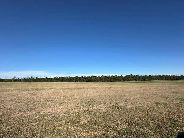 1 Acre of Residential Land for Sale in Douglas, Georgia