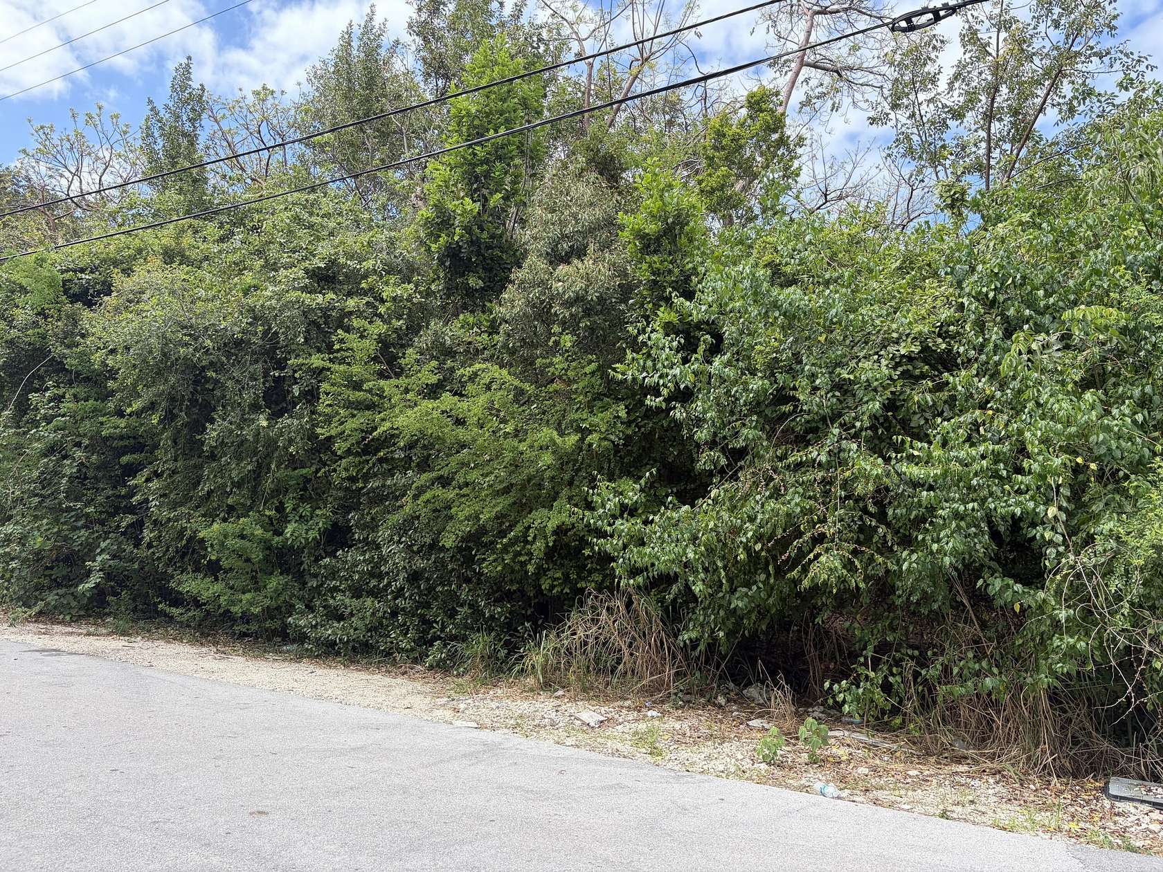 Residential Land for Sale in Key Largo, Florida