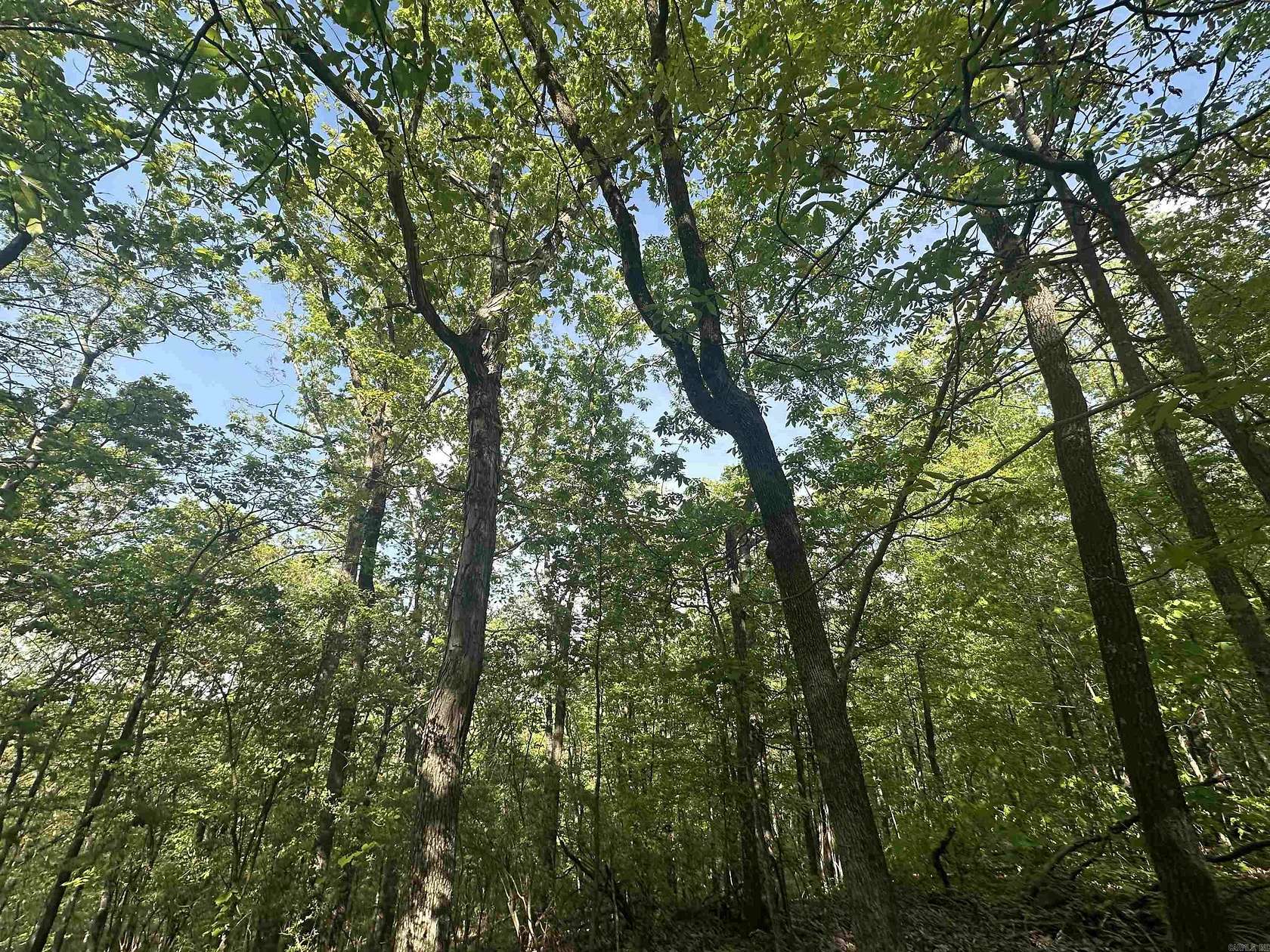 5 Acres of Residential Land for Sale in El Paso, Arkansas