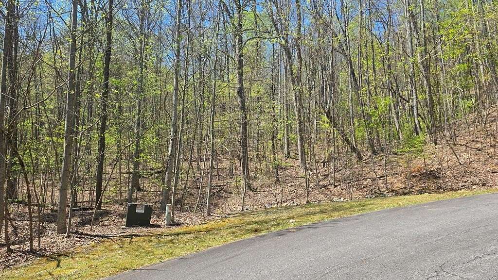 1 Acre of Land for Sale in Young Harris, Georgia