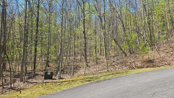 1 Acre of Land for Sale in Young Harris, Georgia