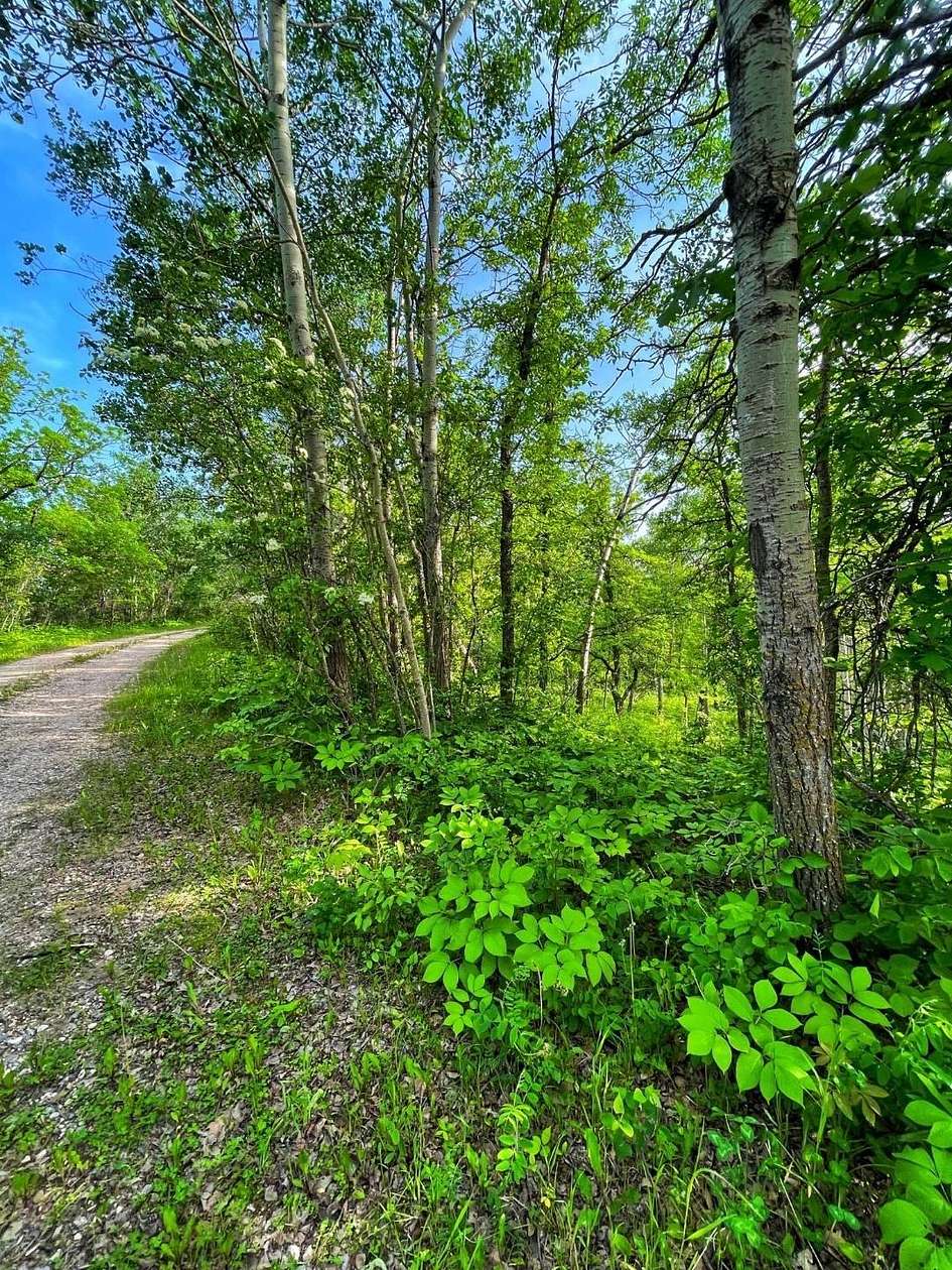 0.32 Acres of Residential Land for Sale in Bottineau, North Dakota