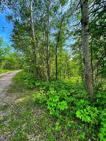 0.41 Acres of Residential Land for Sale in Bottineau, North Dakota