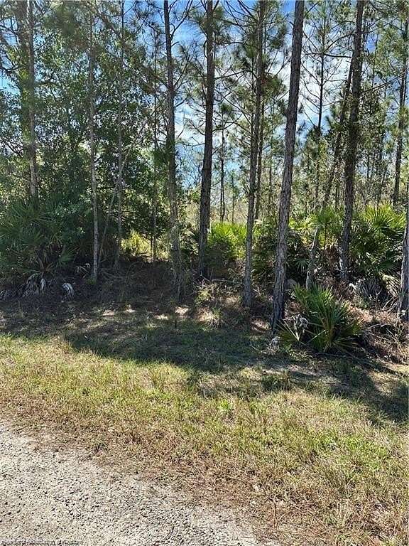 0.26 Acres of Residential Land for Sale in Lake Placid, Florida
