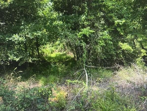 0.99 Acres of Residential Land for Sale in Baton Rouge, Louisiana