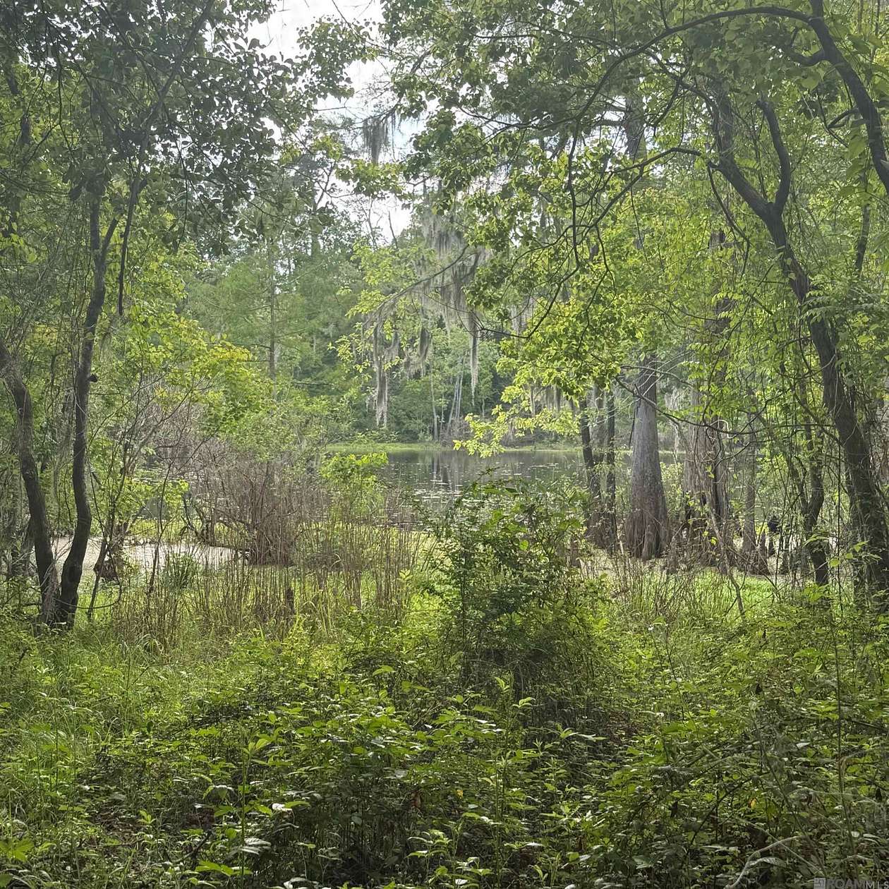 1.56 Acres of Residential Land for Sale in Baton Rouge, Louisiana