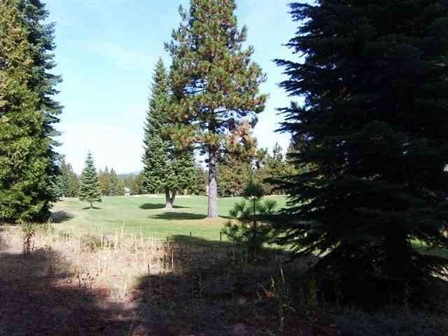0.3 Acres of Residential Land for Sale in Lake Almanor Peninsula, California