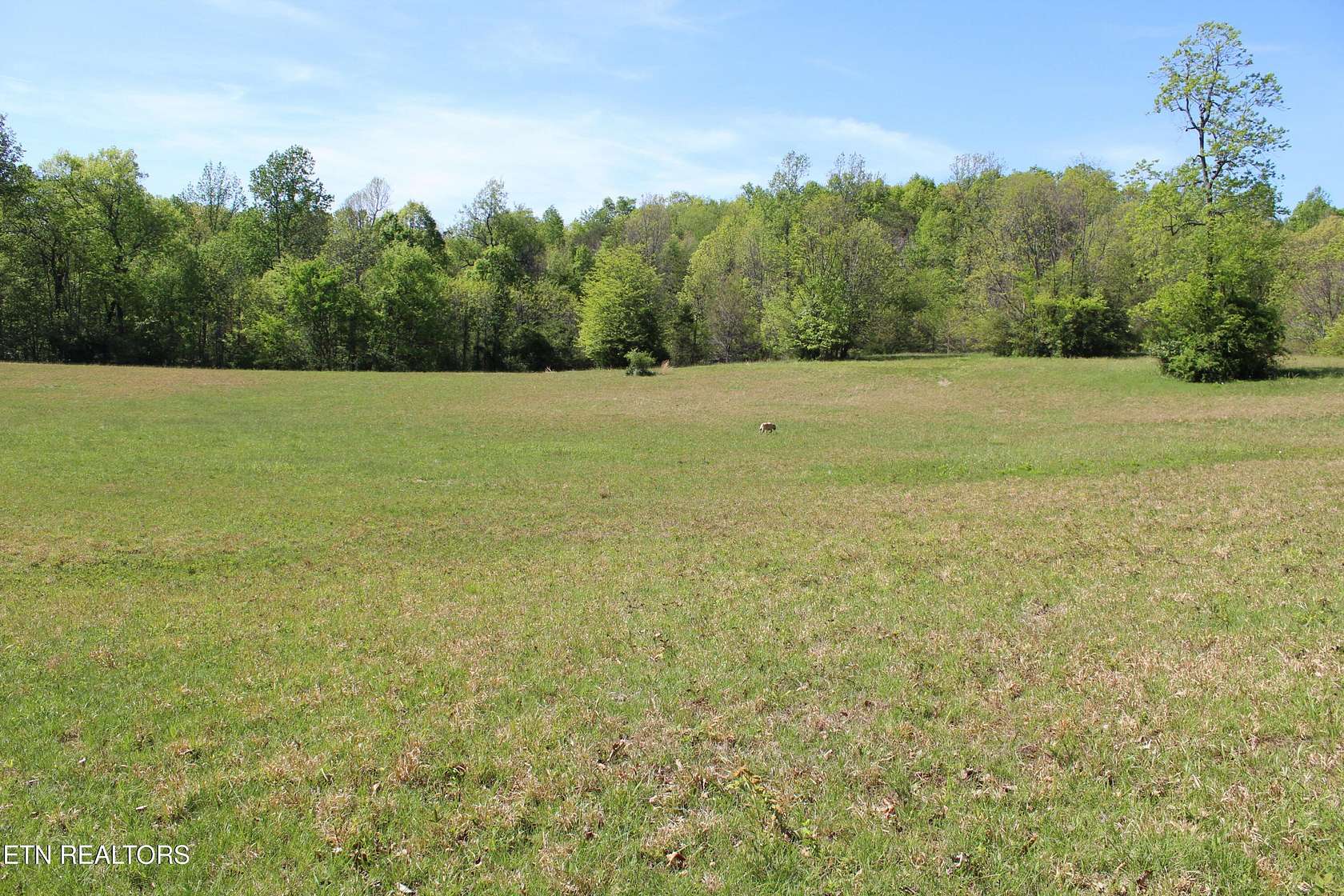 20 Acres of Agricultural & Residential Land for Sale in Louisville, Tennessee