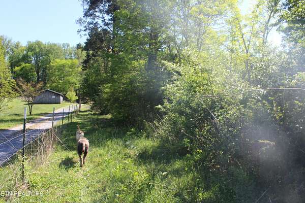 32.3 Acres of Land for Sale in Louisville, Tennessee