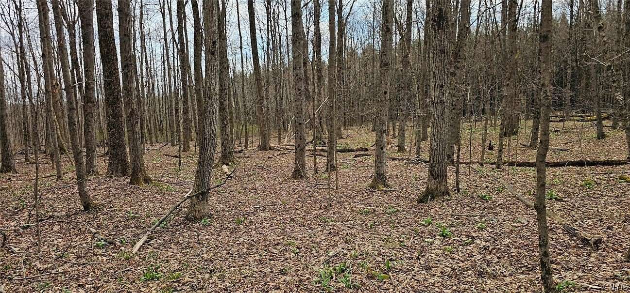20.5 Acres of Land for Sale in Berkshire, New York