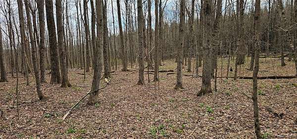 20.5 Acres of Land for Sale in Berkshire, New York