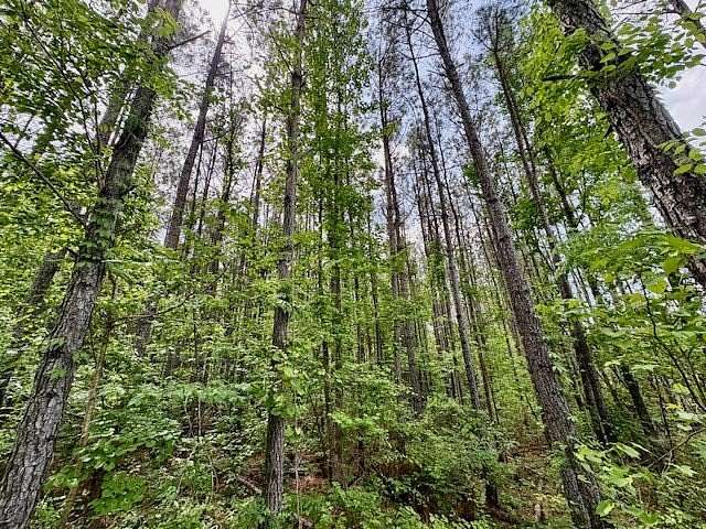 26.5 Acres of Recreational & Residential Land for Sale in Vardaman, Mississippi