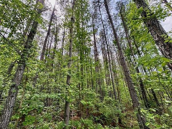 26.5 Acres of Recreational & Residential Land for Sale in Vardaman, Mississippi