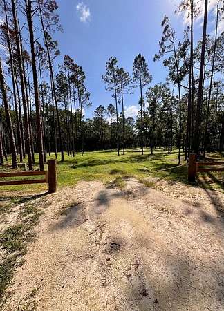 2.32 Acres of Residential Land for Sale in Steinhatchee, Florida