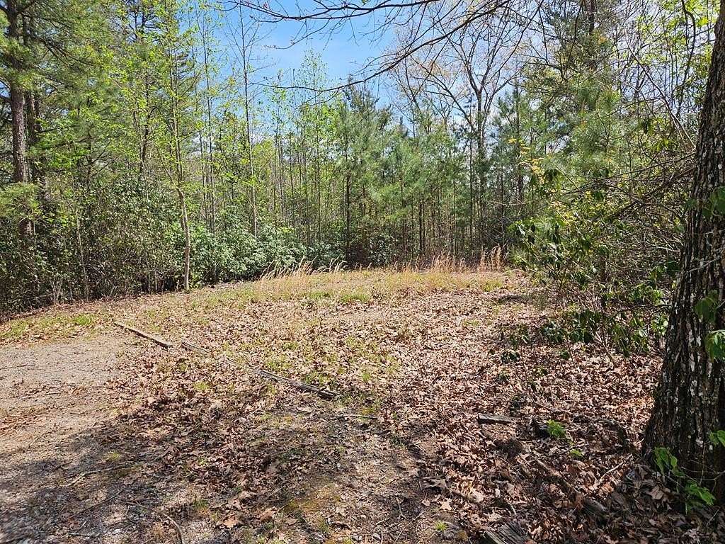 1.25 Acres of Residential Land for Sale in Franklin, North Carolina