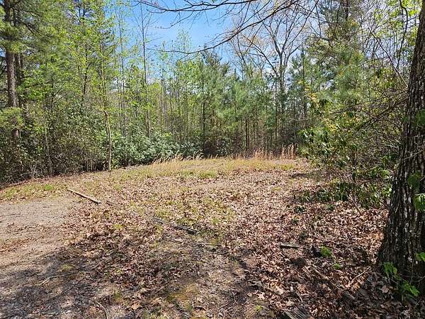1.25 Acres of Residential Land for Sale in Franklin, North Carolina