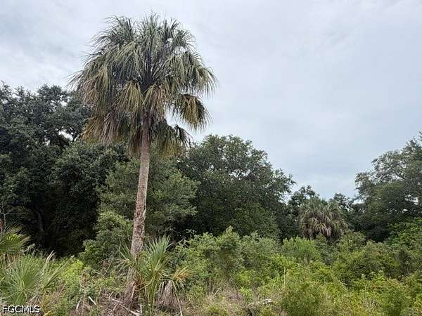 0.5 Acres of Residential Land for Sale in Lehigh Acres, Florida