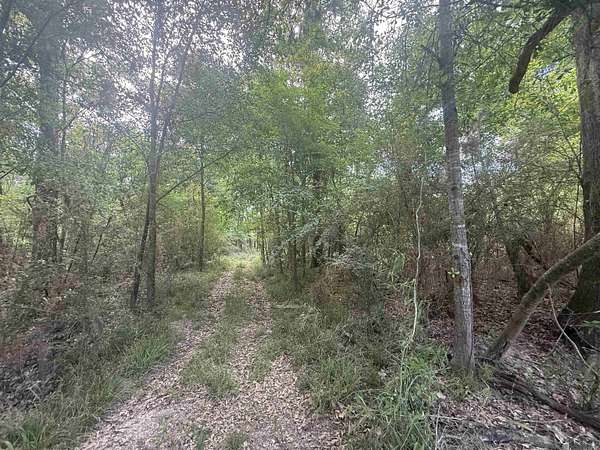 1.62 Acres of Residential Land for Sale in Baton Rouge, Louisiana