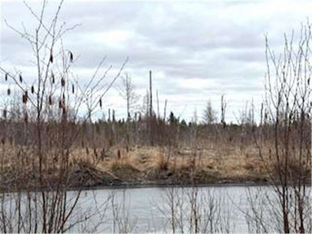 40 Acres of Recreational Land for Sale in Fleming Township, Minnesota