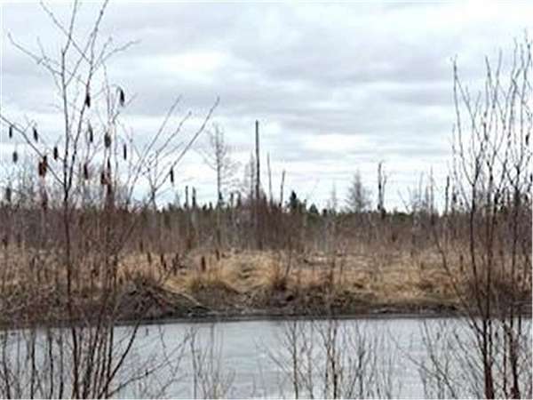 40 Acres of Recreational Land for Sale in Fleming Township, Minnesota