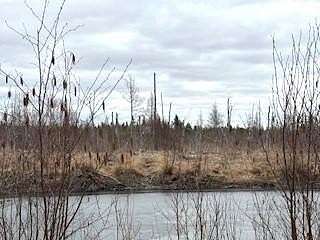 40 Acres of Recreational Land for Sale in McGregor, Minnesota