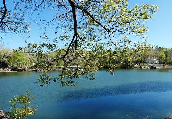 0.95 Acres of Residential Land for Sale in Double Springs, Alabama