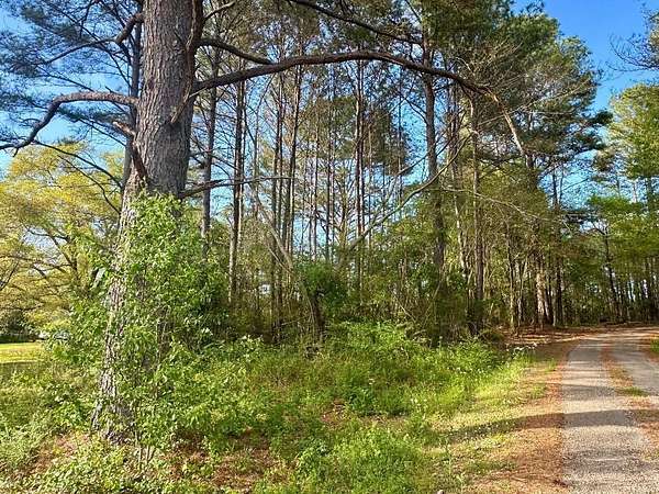 11 Acres of Land for Sale in Jasper, Alabama