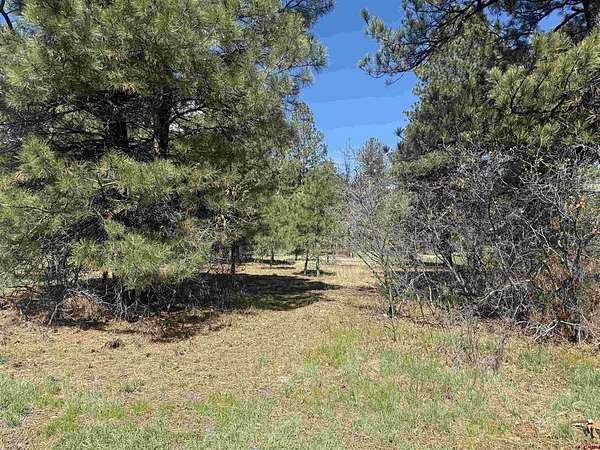 0.22 Acres of Residential Land for Sale in Pagosa Springs, Colorado