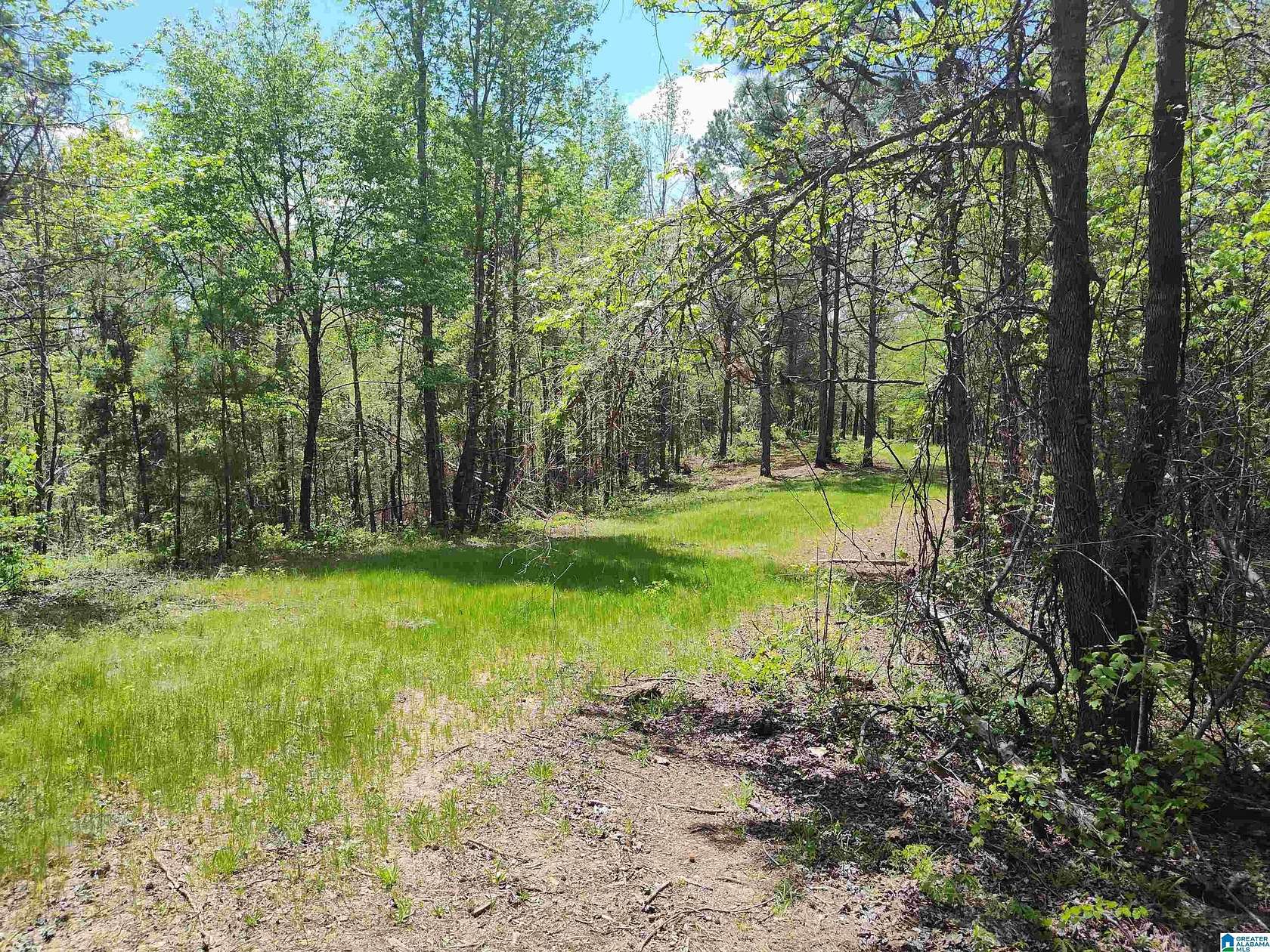 42 Acres of Recreational Land for Sale in Rockford, Alabama