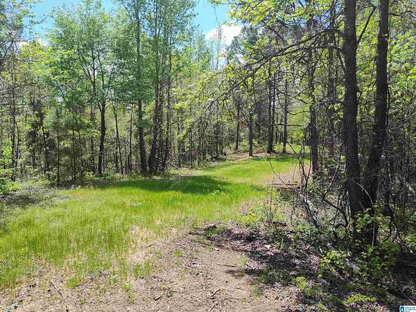 42 Acres of Recreational Land for Sale in Rockford, Alabama