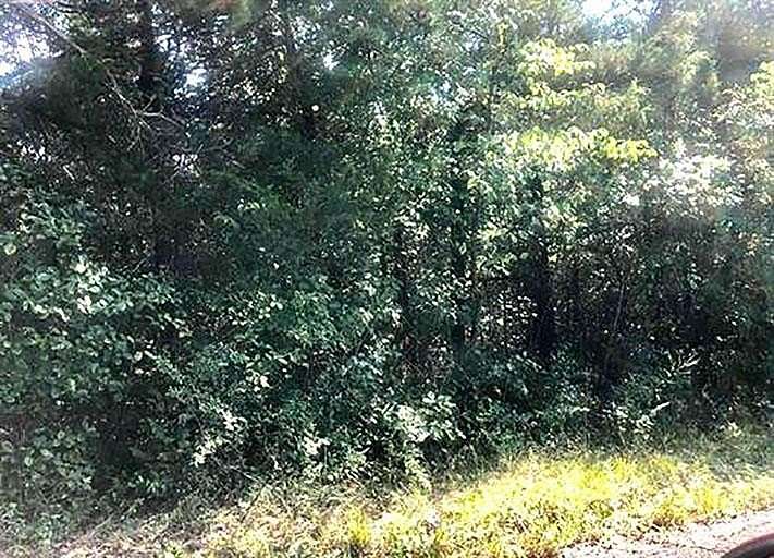 0.26 Acres of Residential Land for Sale in Cherokee Village, Arkansas