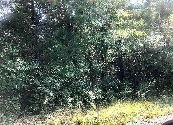 0.26 Acres of Residential Land for Sale in Cherokee Village, Arkansas