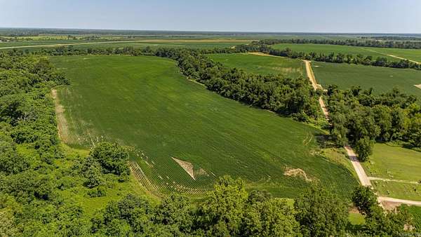 166 Acres of Land for Sale in Marked Tree, Arkansas
