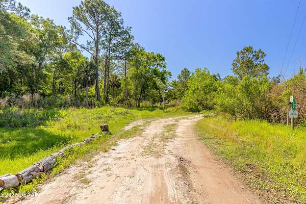 10 Acres of Agricultural Land for Sale in Bunnell, Florida
