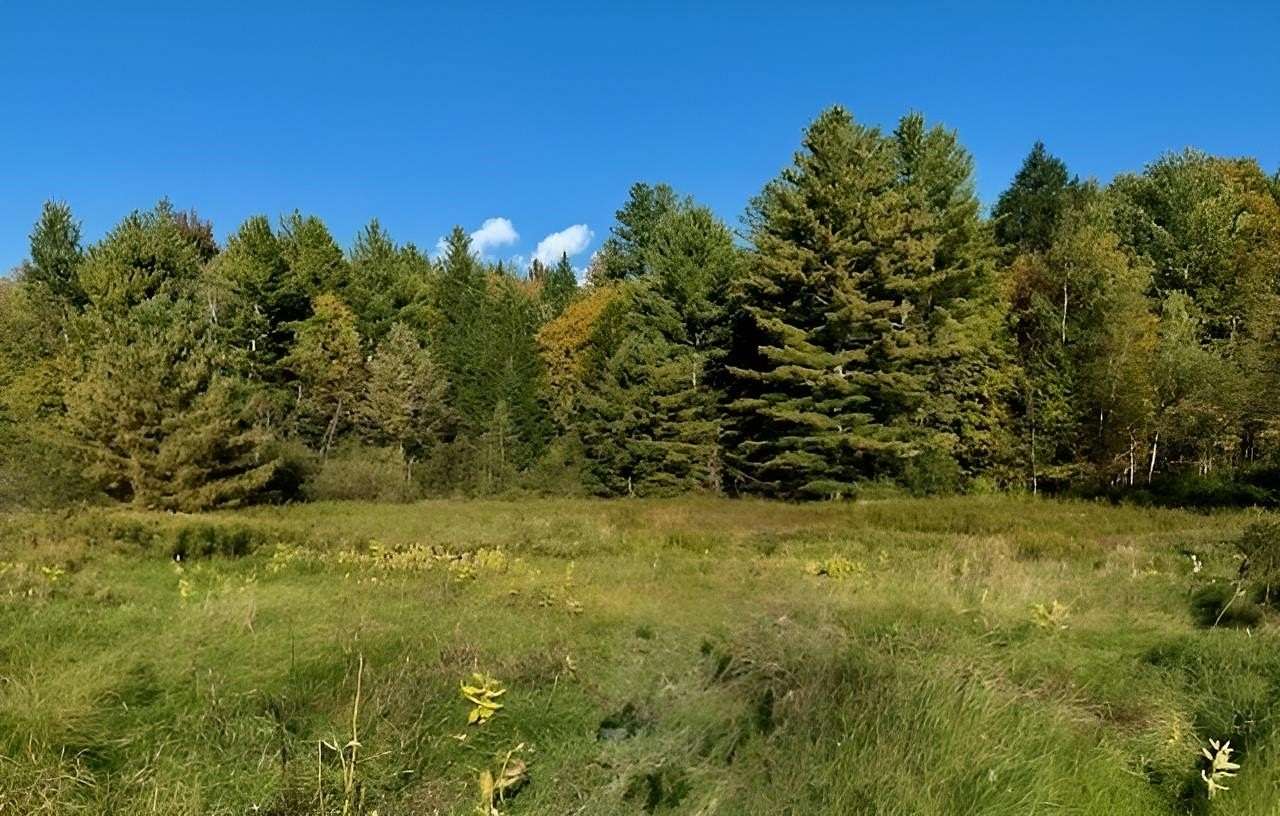 56 Acres of Recreational Land for Sale in Troy, Vermont